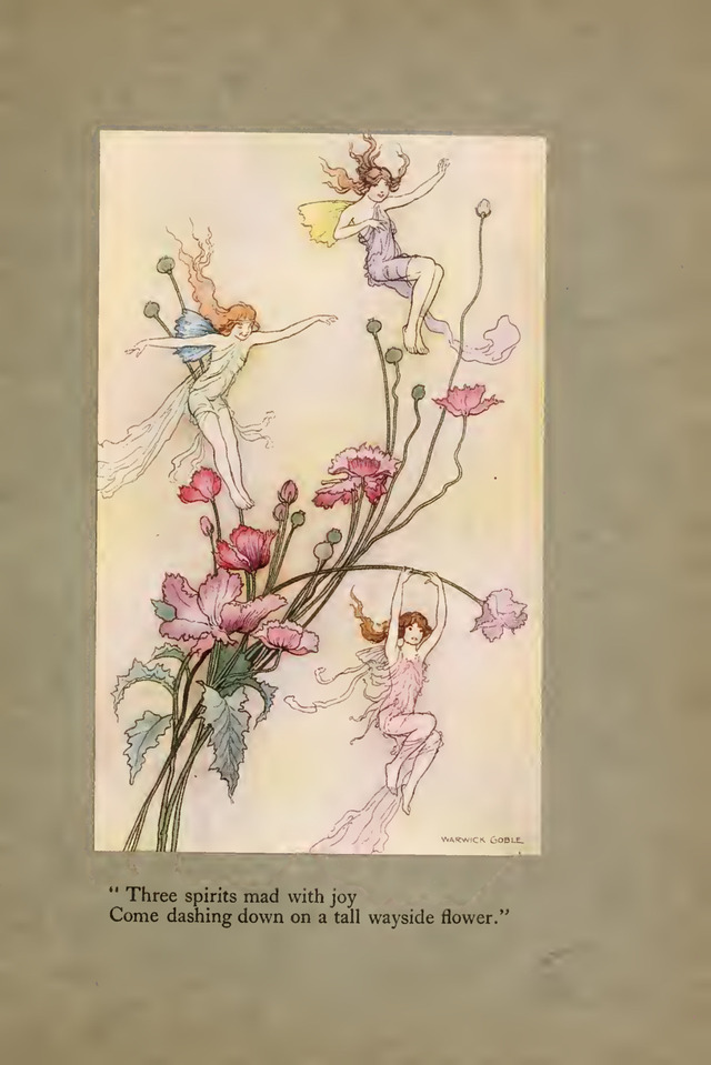 The Book of Fairy Poetry · Source sheet 87 · source scan