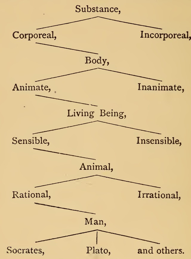 Scanned Tree of Porphyry, from Substance through genera and species to Socrates, Plato and others